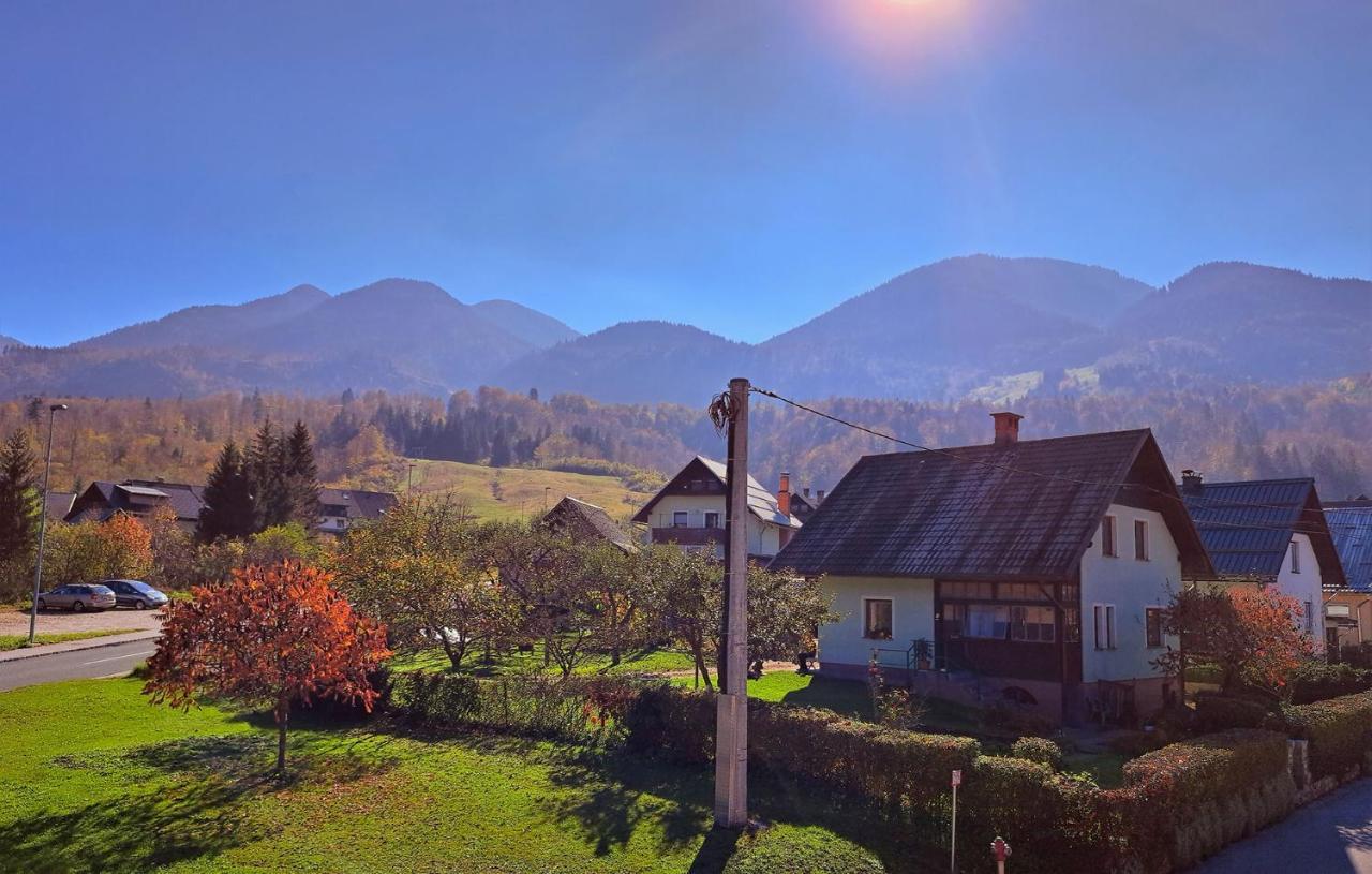 Apartmaji Alpski Cvet - Hisa Gorenc Bohinj Exteriör bild