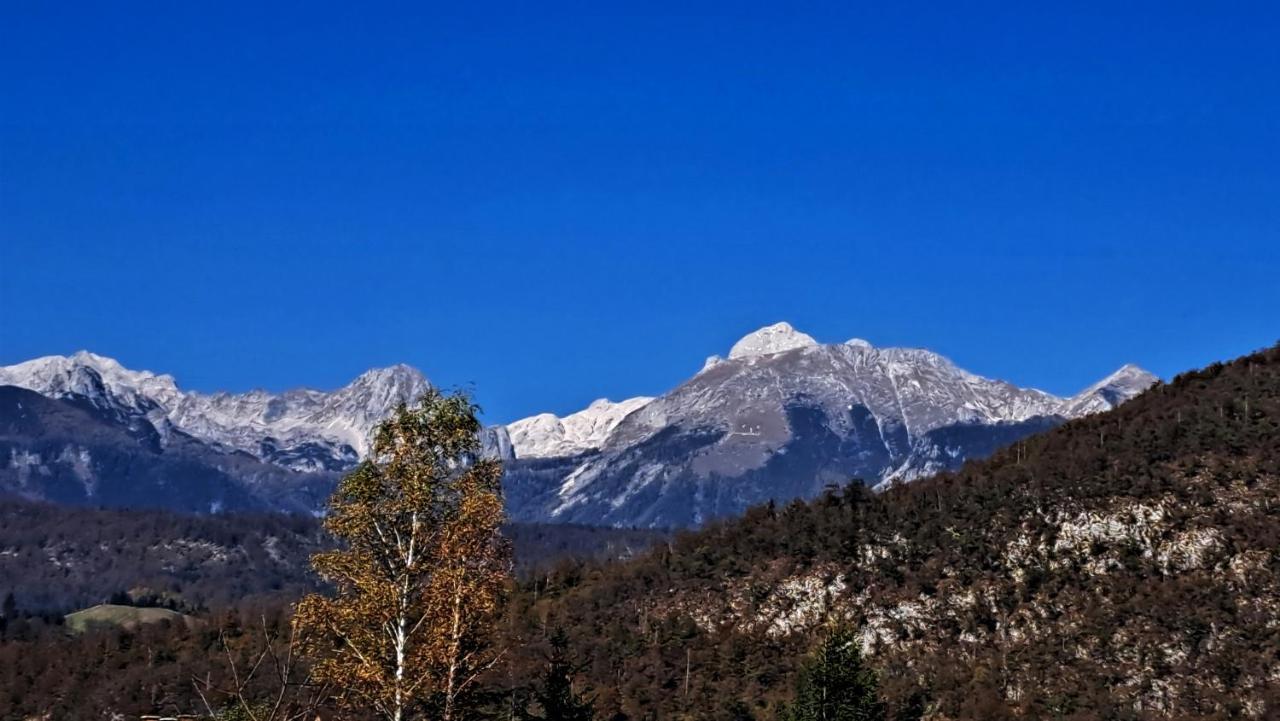 Apartmaji Alpski Cvet - Hisa Gorenc Bohinj Exteriör bild