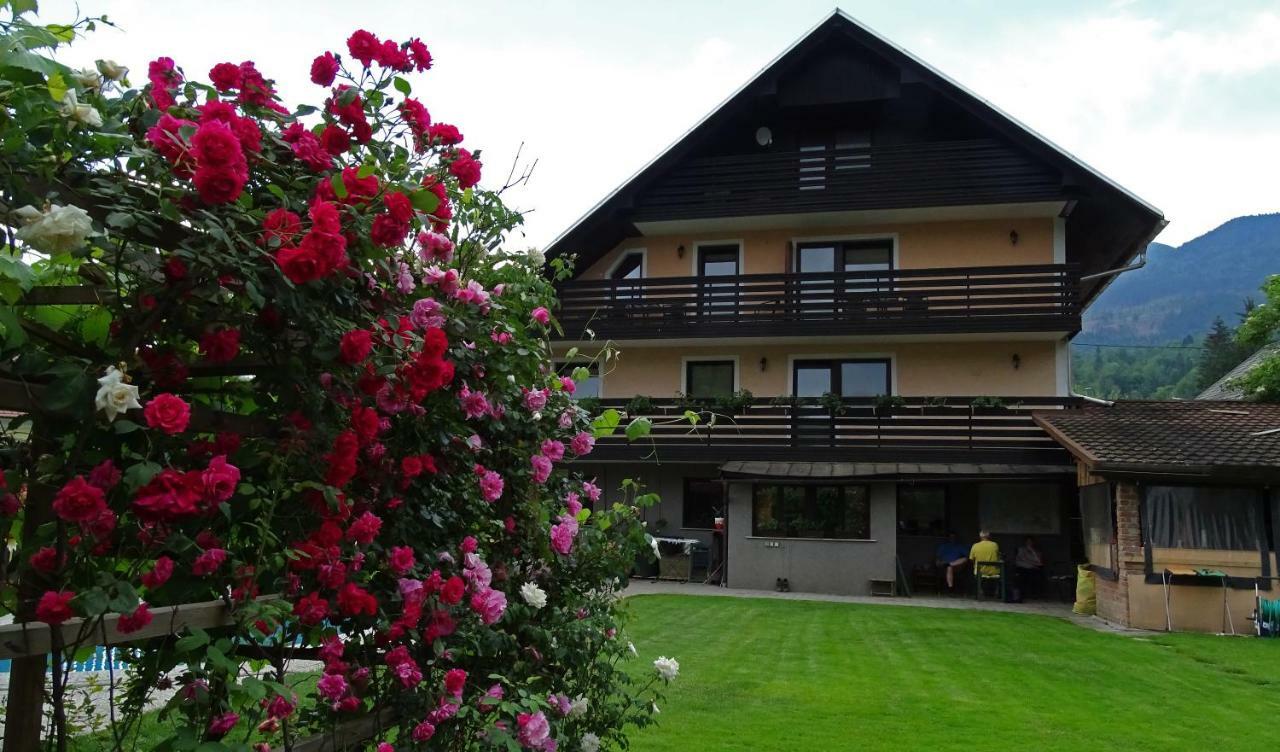 Apartmaji Alpski Cvet - Hisa Gorenc Bohinj Exteriör bild