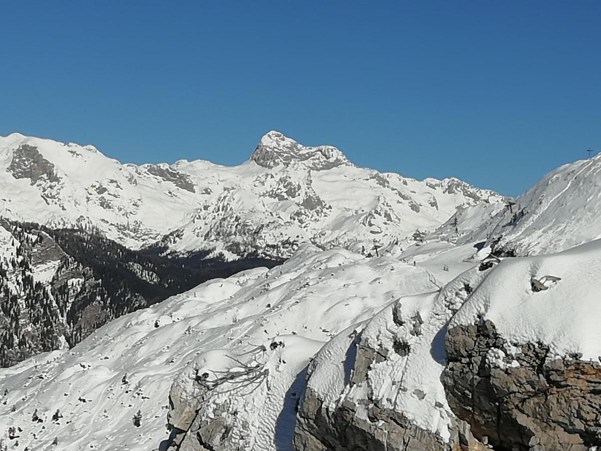 Apartmaji Alpski Cvet - Hisa Gorenc Bohinj Exteriör bild