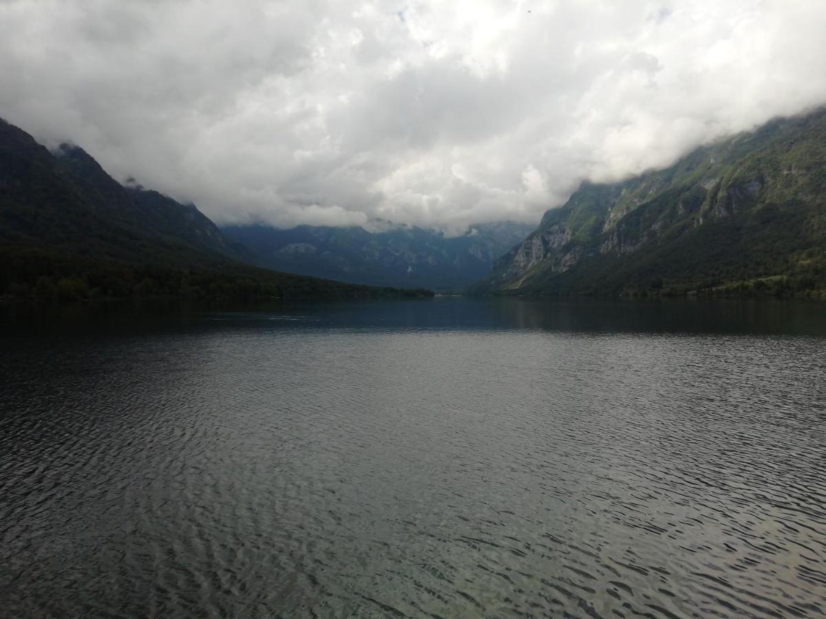 Apartmaji Alpski Cvet - Hisa Gorenc Bohinj Exteriör bild