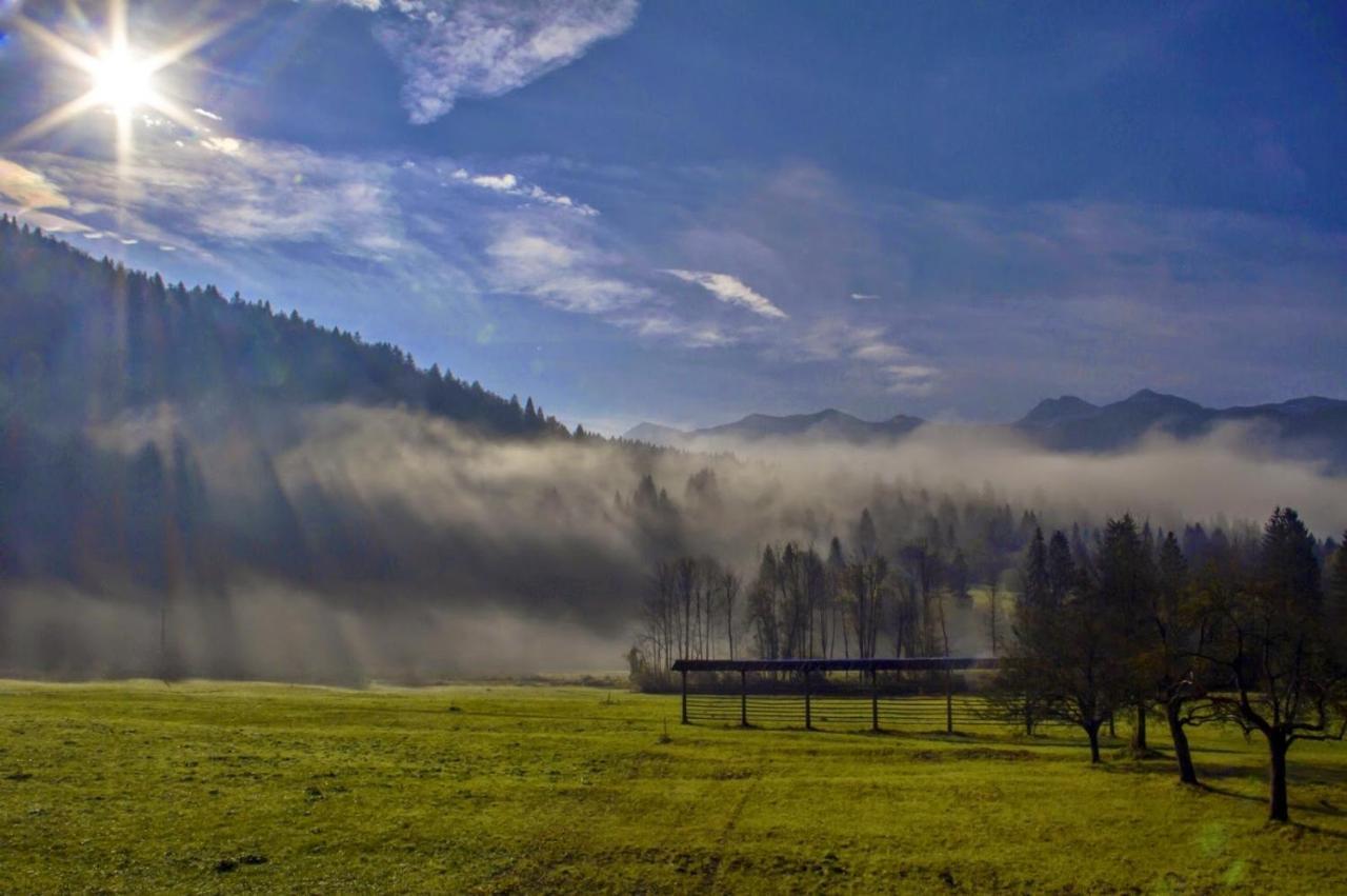 Apartmaji Alpski Cvet - Hisa Gorenc Bohinj Exteriör bild