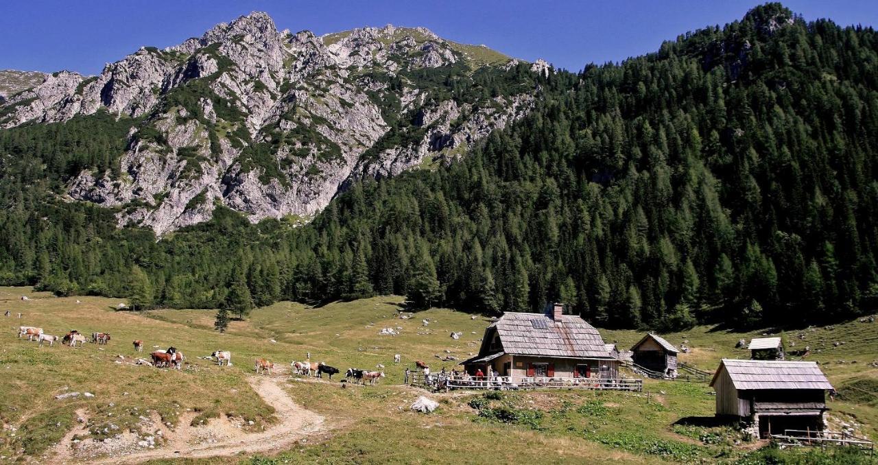 Apartmaji Alpski Cvet - Hisa Gorenc Bohinj Exteriör bild