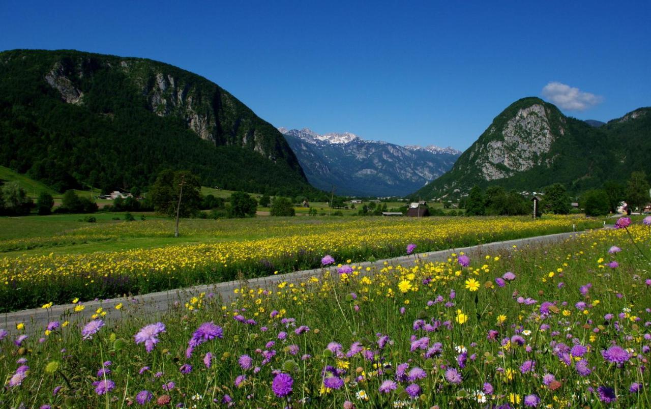 Apartmaji Alpski Cvet - Hisa Gorenc Bohinj Exteriör bild