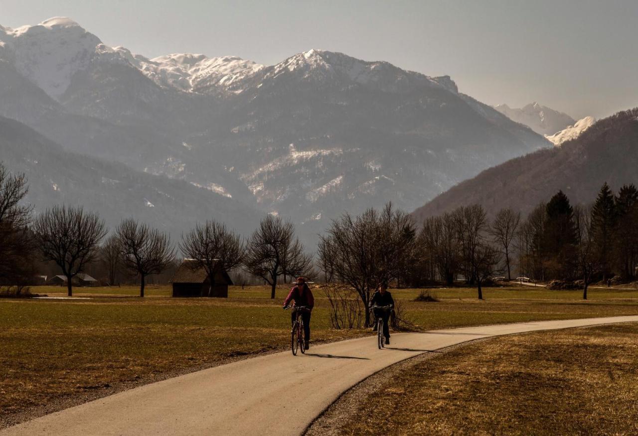 Apartmaji Alpski Cvet - Hisa Gorenc Bohinj Exteriör bild