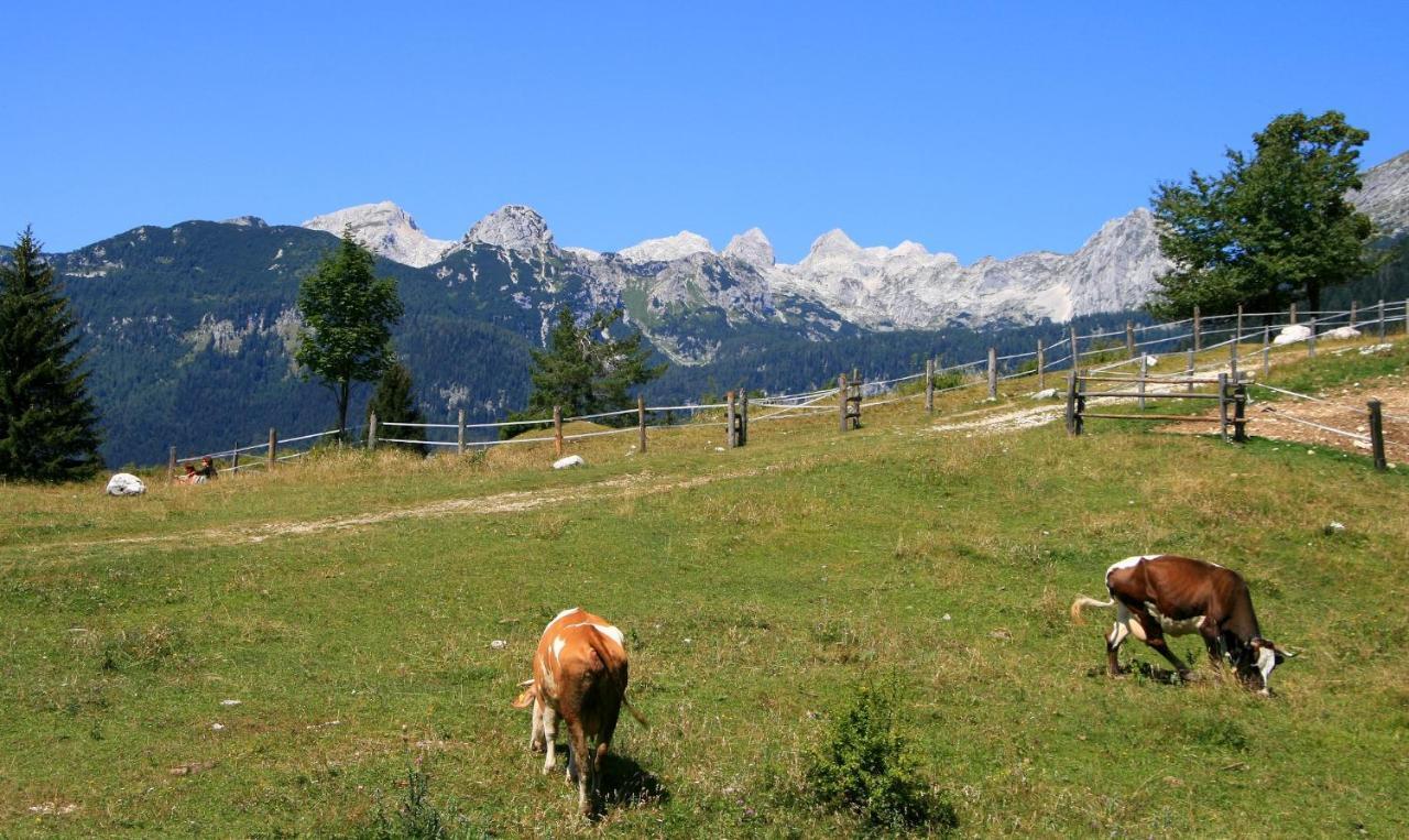 Apartmaji Alpski Cvet - Hisa Gorenc Bohinj Exteriör bild