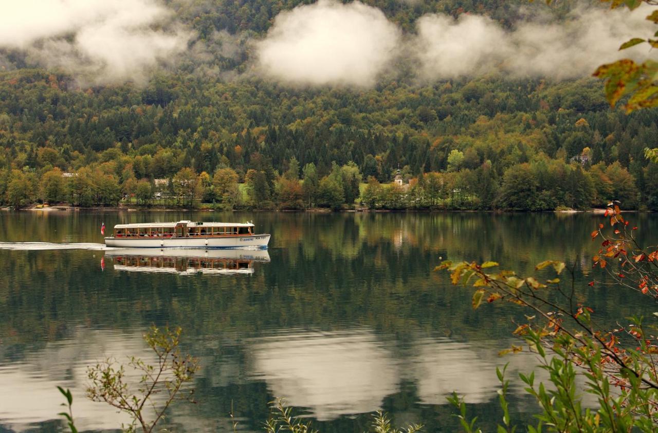 Apartmaji Alpski Cvet - Hisa Gorenc Bohinj Exteriör bild