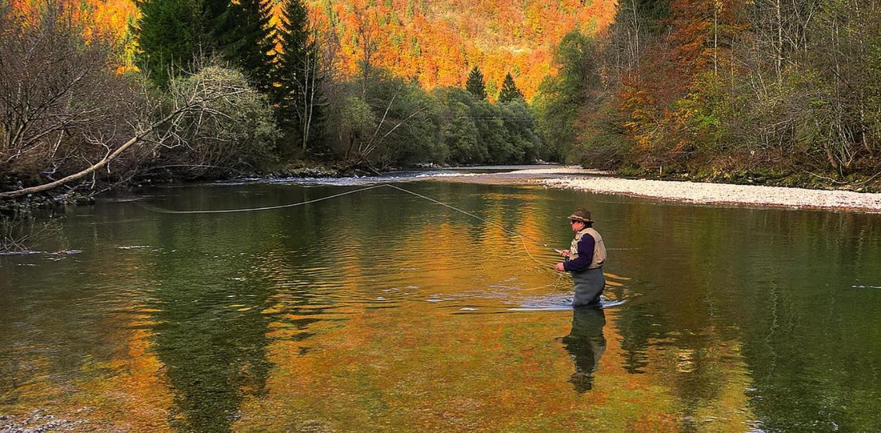 Apartmaji Alpski Cvet - Hisa Gorenc Bohinj Exteriör bild
