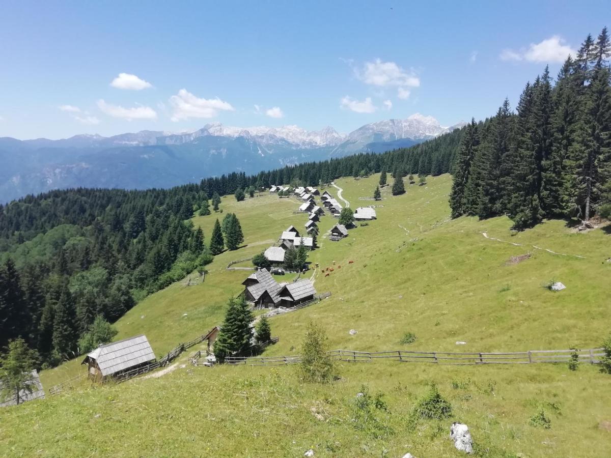 Apartmaji Alpski Cvet - Hisa Gorenc Bohinj Exteriör bild