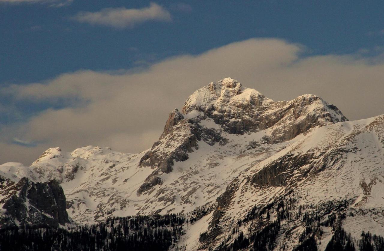 Apartmaji Alpski Cvet - Hisa Gorenc Bohinj Exteriör bild